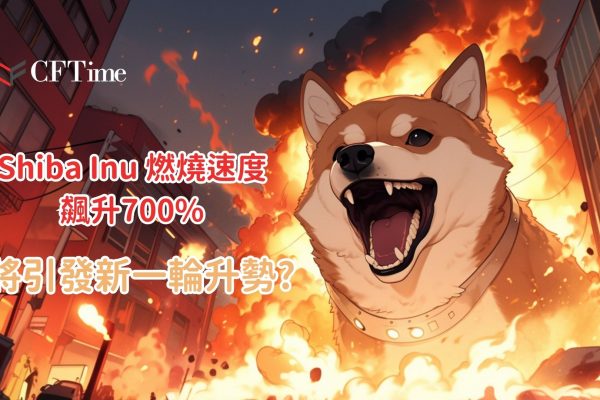 Shiba Inu燃燒速度