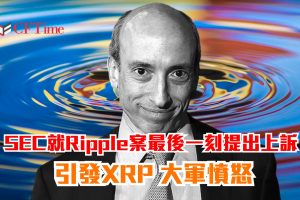 Ripple案