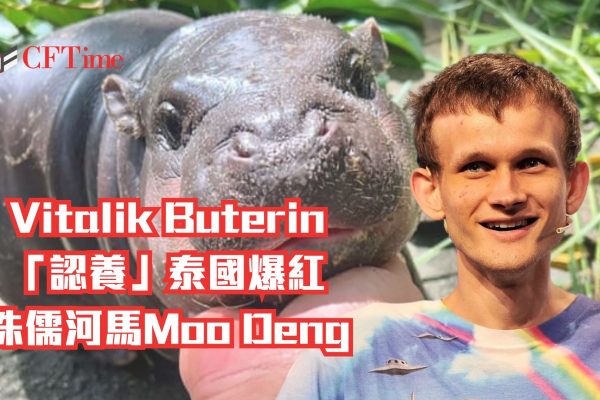 泰國爆紅侏儒河馬Moo Deng