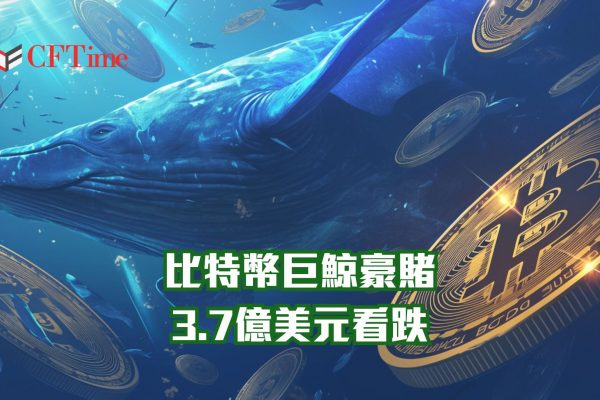 比特幣巨鯨豪賭
