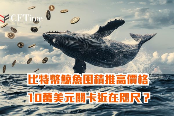 比特幣鯨魚囤積推高價格