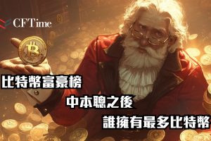 誰擁有最多比特幣
