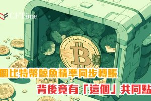 比特幣最詭異交易