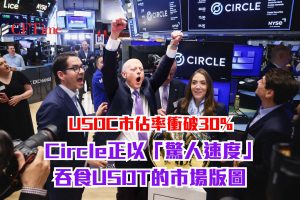 USDC市佔率