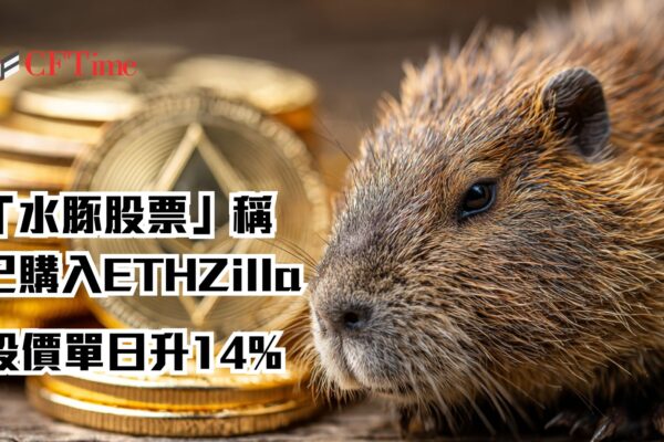 ETHZilla