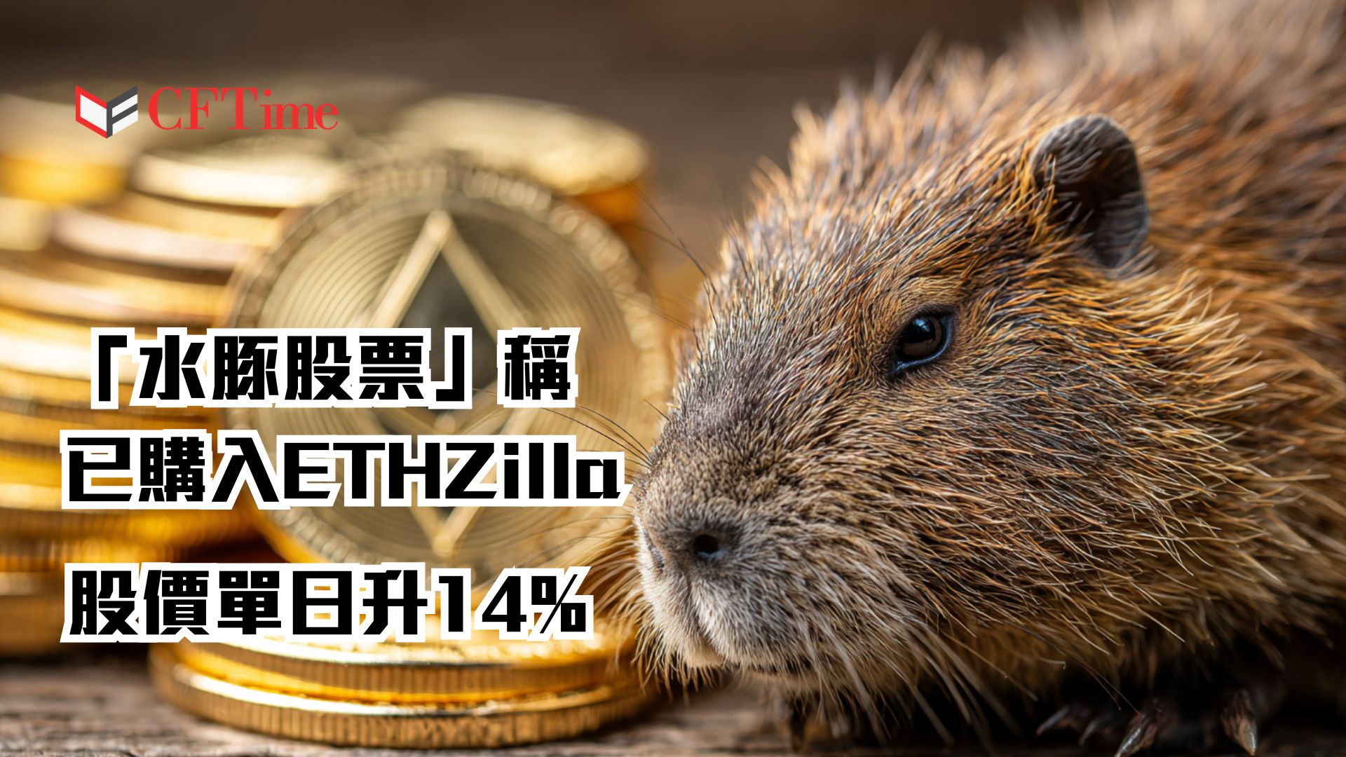 ETHZilla