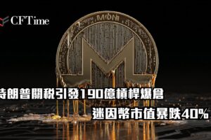 迷因幣市值