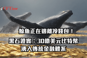 鯨魚正在逃離冷錢包!黑石證實:30億美元比特幣正透過「實物轉換」湧入傳統金融體系 鯨魚正在逃離冷錢包