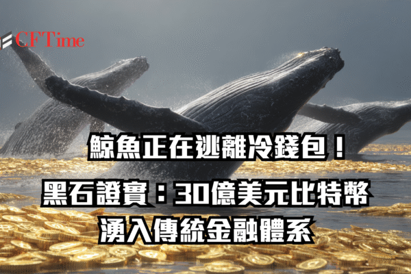 鯨魚正在逃離冷錢包