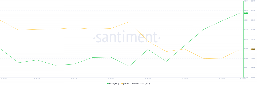 巨鯨一日狂買9.1億美元!比特幣突破行情能否經受考驗?