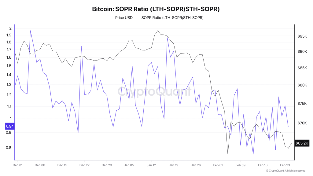 短期持有者主導拋售、長期玩家按兵不動：比特幣市場正在上演一場經典的「權力交接」