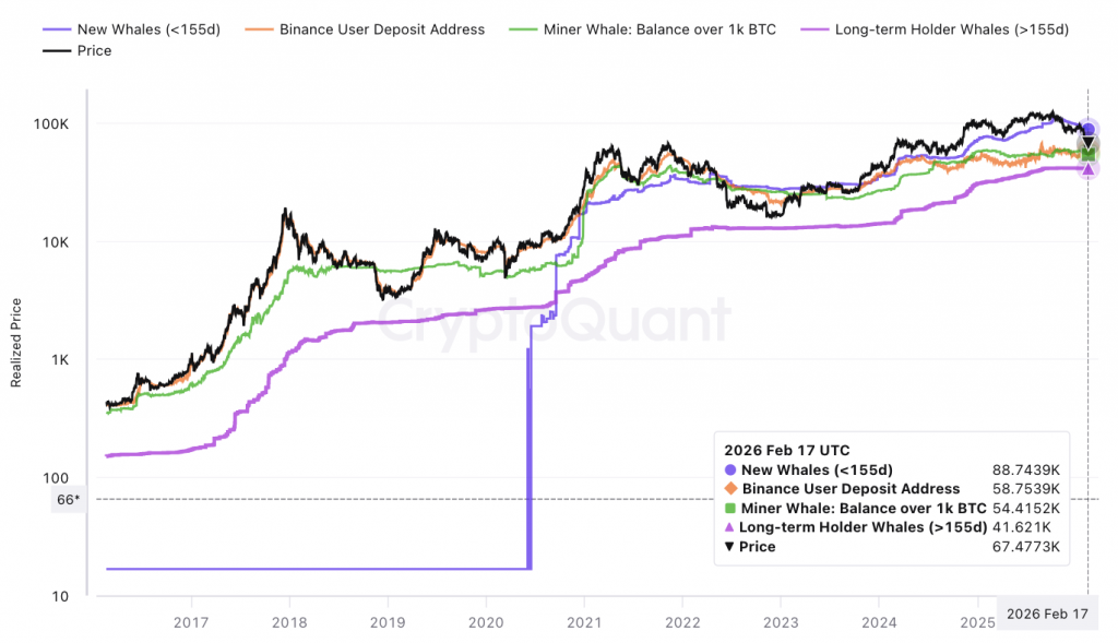 幣安比特幣用戶成本線曝光!分析:這價格是多頭最後防線