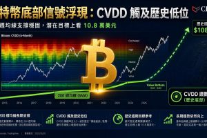 比特幣底部信號浮現。CryptoQuant數據顯示，比特幣CVDD指標已跌至0.3的極低區域——此水平在2019年和2022年曾標誌價格底部，隨後出現大幅反彈。比特幣同時守住200週簡單移動平均線結構性支撐，若重演2023年模式（從27,112美元反彈至73,777美元），目標上看108,636美元（漲76%）。