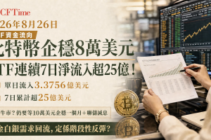 比特幣ETF淨流入創7連陽！比特幣站穩8萬美元，分析師：言之尚早但頗樂觀